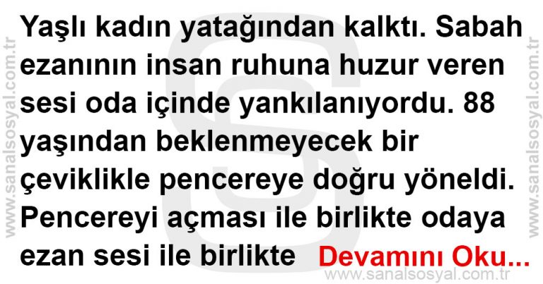 adalet teyze