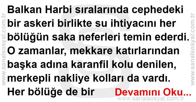 esek sudan gelinceye kadar