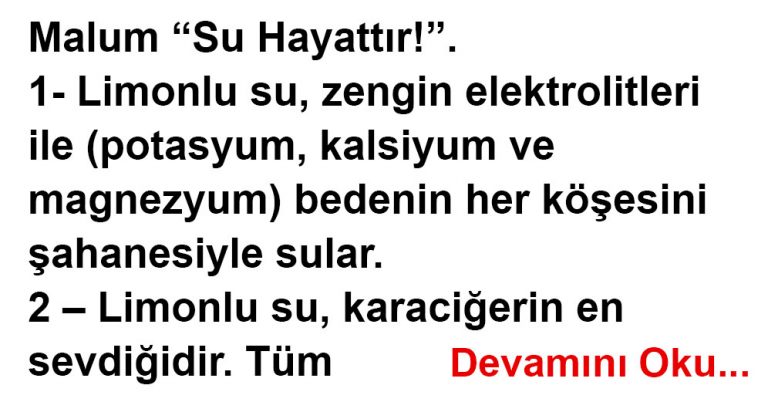 limonlu su