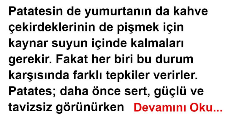 patates yumurta kahve