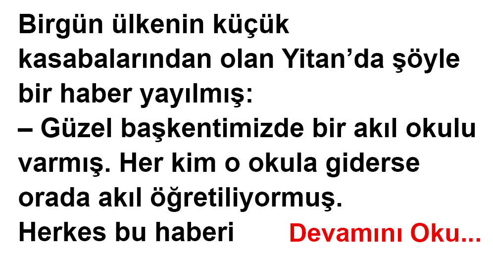 Akıl Okulu 1 Akıl Okulu