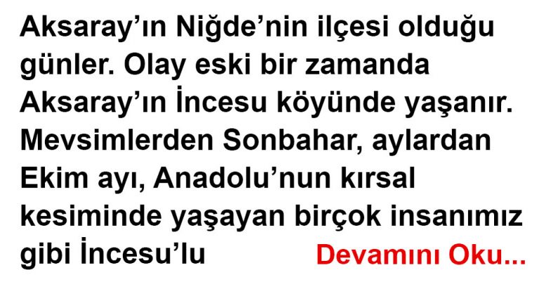 BEN O GÜN NİĞDE VALİSİYDİM