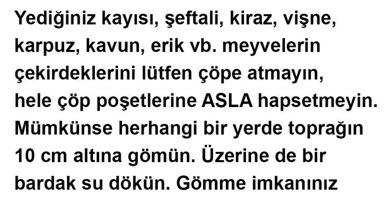 ÇEKİRDEKLERİ ÇÖPE ATMAYIN