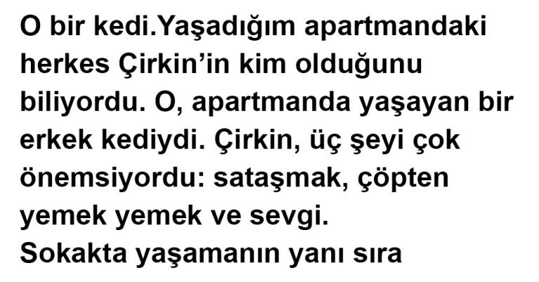 Çirkin