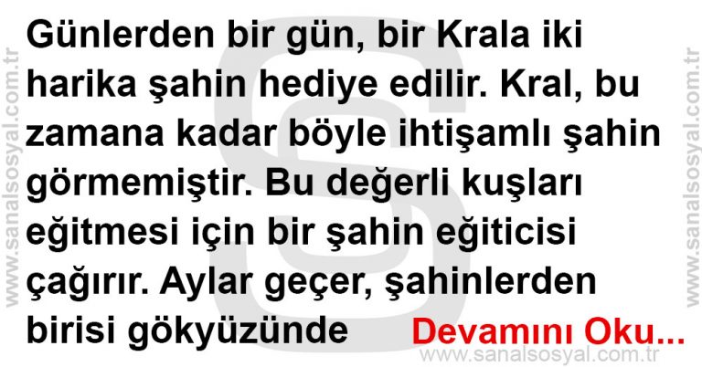 Daha Fazla Beklemeyin