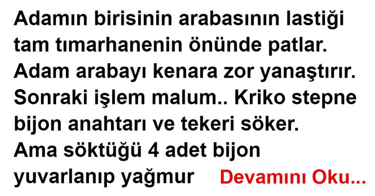 DELİLİK İLE SALAKLIK ARASINDAKİ FARK