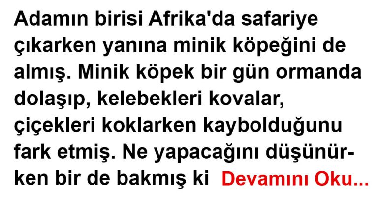 DİPLOMASİ