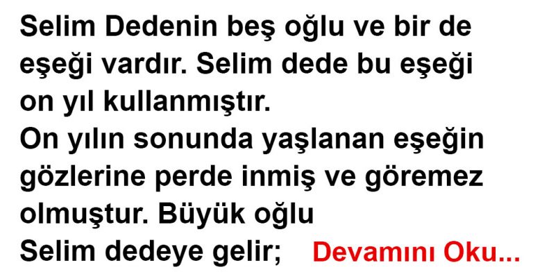 Doğan Cüceloğlu – Bir Eşek Hikayesi