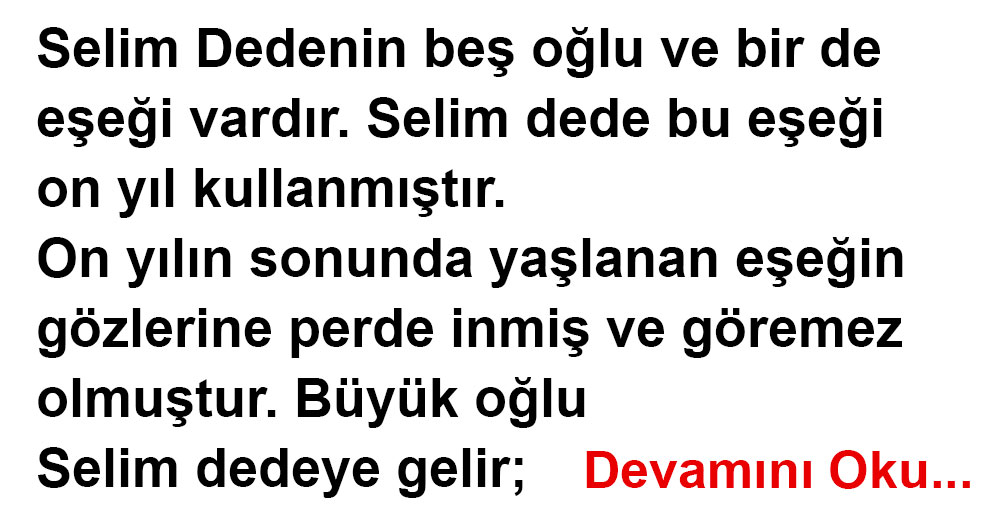 Doğan Cüceloğlu – Bir Eşek Hikayesi