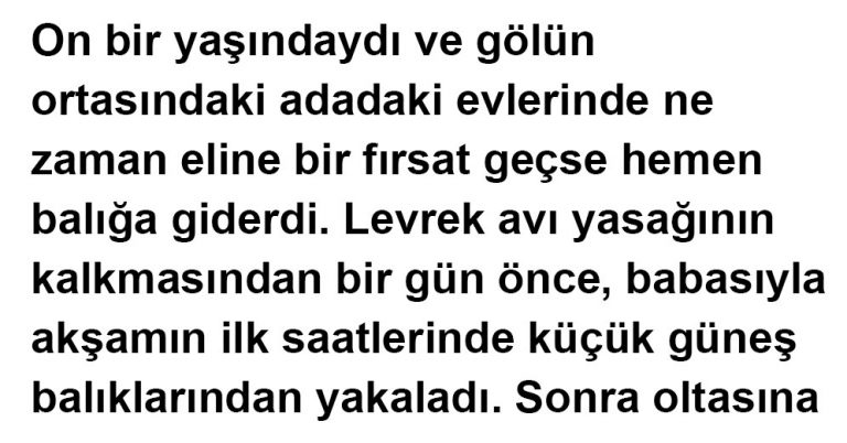 Doğru Olanı Yapmak