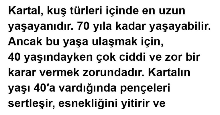 Gagası Yere Düşenlere