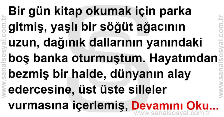 Gerçek Kör Benmişim