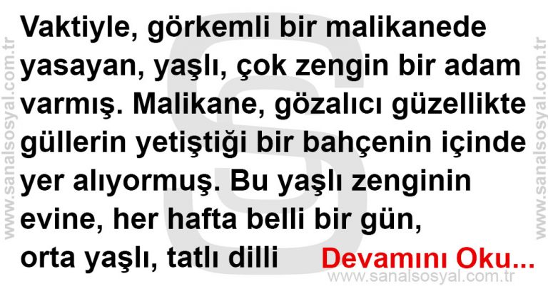 Gül bahçesinin En Güzel Gülü