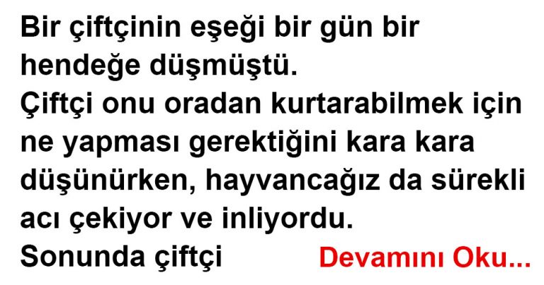 Hayat Direnmekten ibarettir.