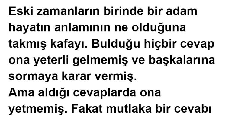 Hayatın anlamını arayan adam