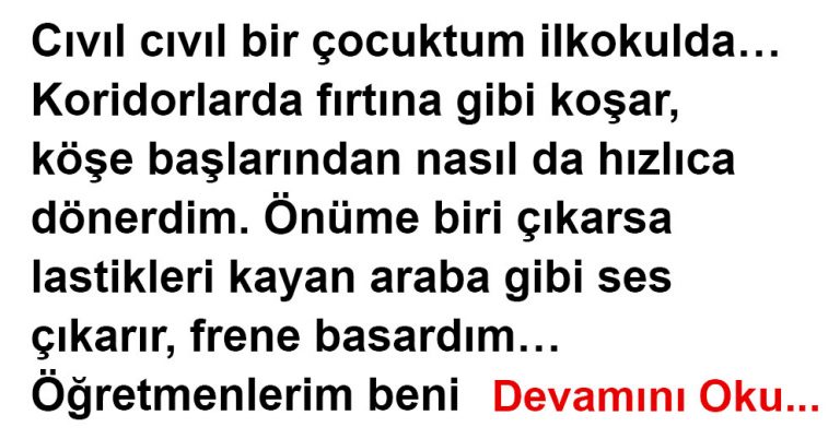 İlkokul Öğretmeni