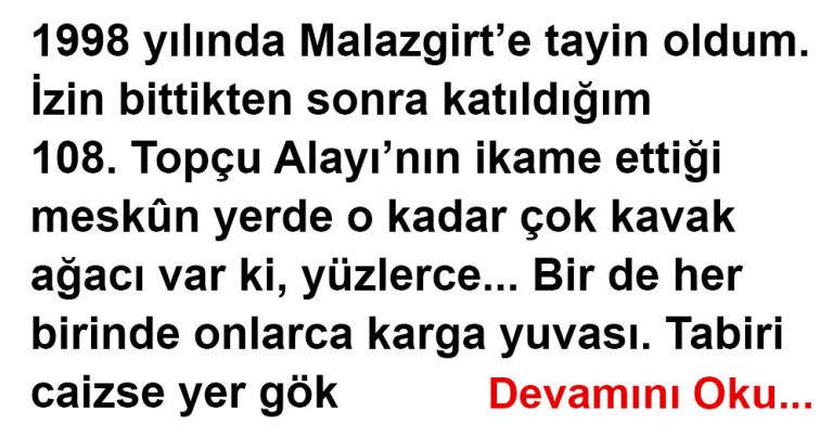 KARGALAR VE İNSANLAR