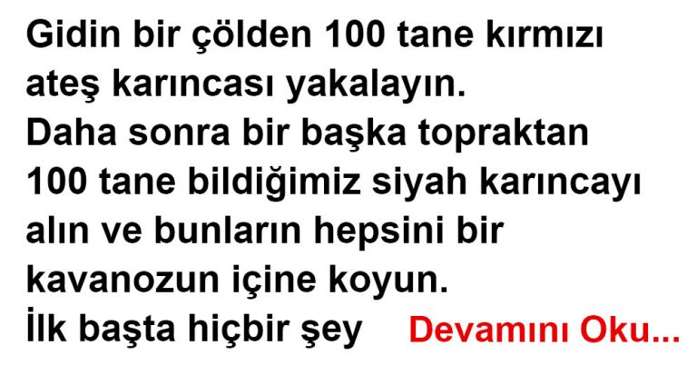 Kavanozu sallayan kim?