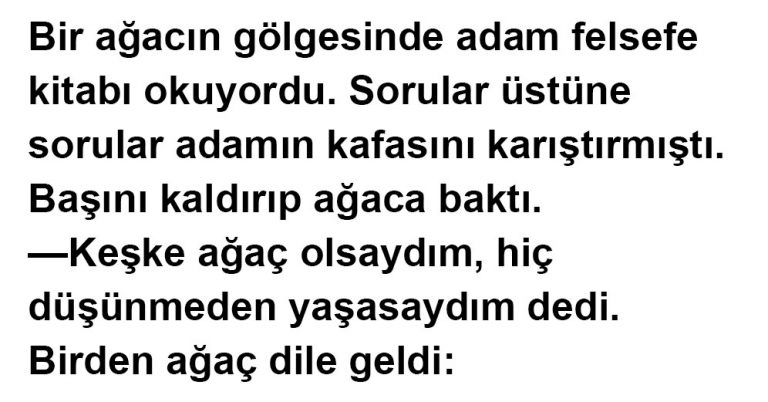 Keşke Ağaç Olsaydım