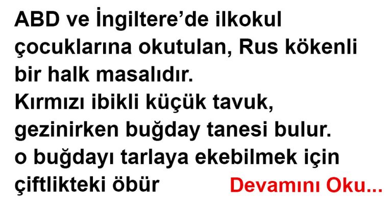 KIRMIZI İBİKLİ KÜÇÜK TAVUK