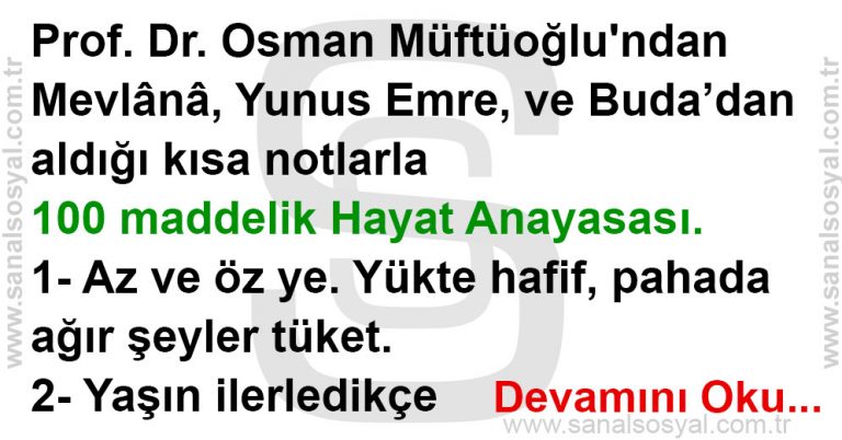 Kısa Notlarla 100 Maddelik Hayat Anayasası.