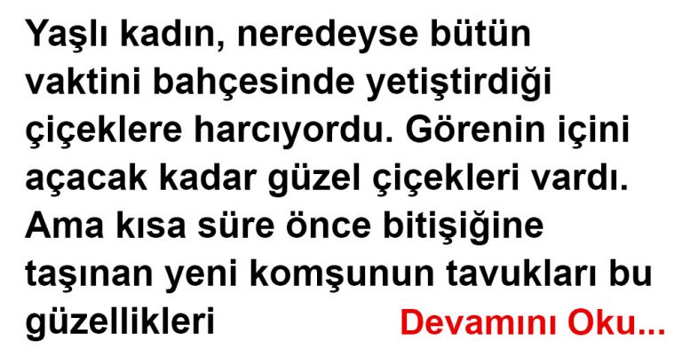 Komşunun Tavukları