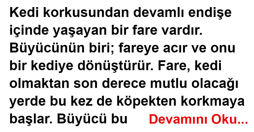 Korkak Fare