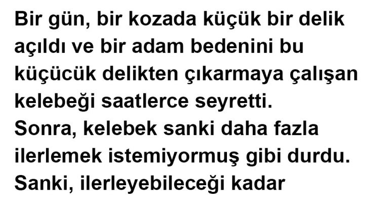 Kozadan Çıkan Kelebek Hikayesi