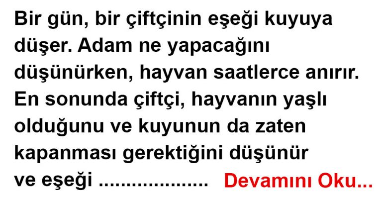 Kuyuya Düşen Eşek