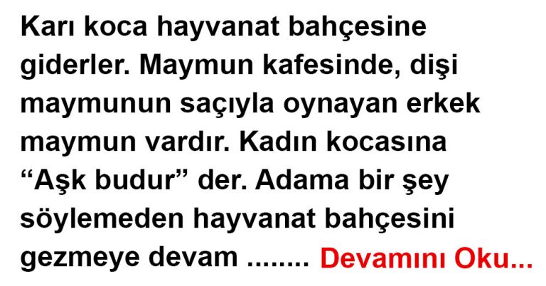 Maymun ve Aslan Aşkı Arasındaki Fark