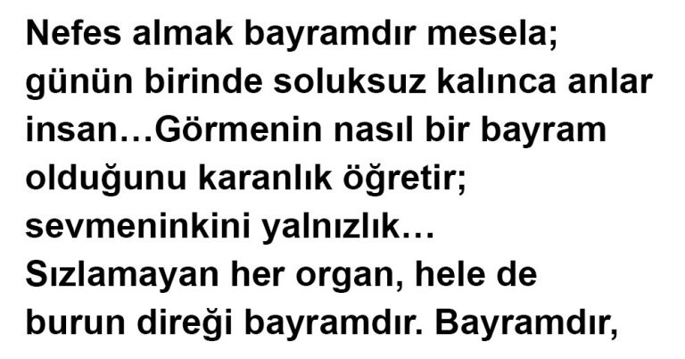 Meraklanmayın Deli Demezler