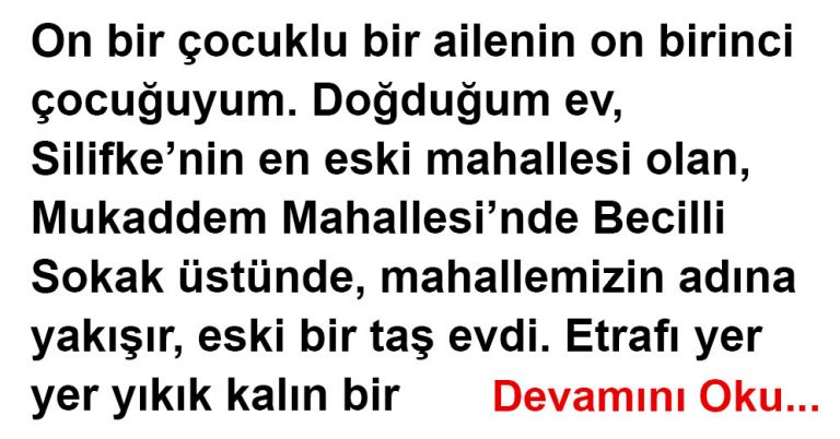 Nasıl Güzel Bir Yürek (Doğan Cüceloğlu)