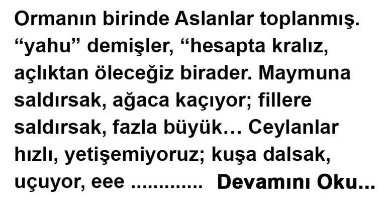 Öküzlük Nasıl Birşeydir Diye Merak Edenlere