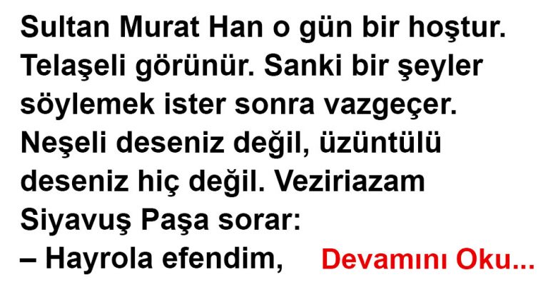 Padişahın İşi Ne?