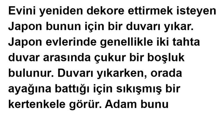 Sadece insanlar mı aşk yaşar?