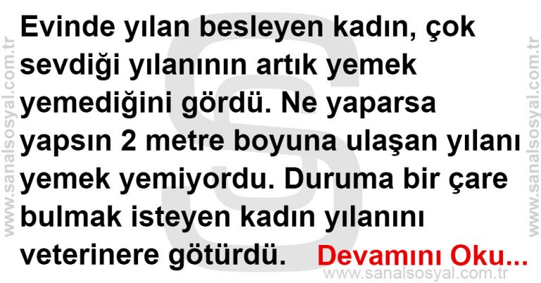 Yanınızdaki Yılan