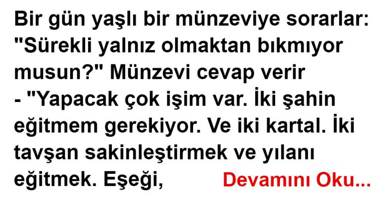 Yapacak Çok İşim Var