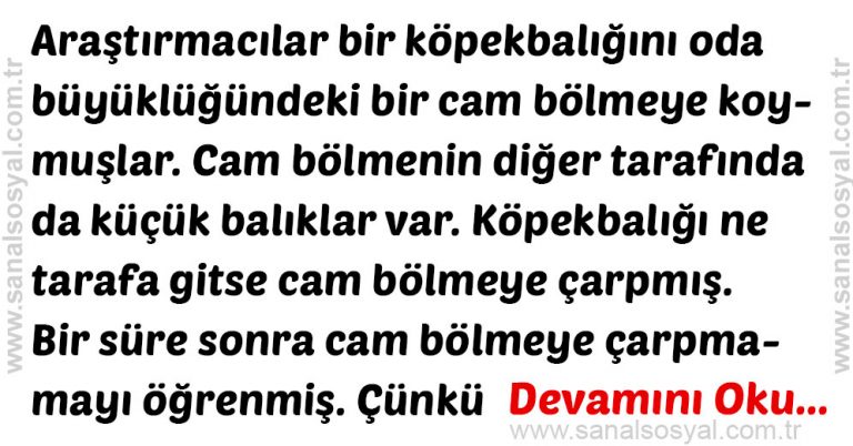 ogrenilmis caresizlik