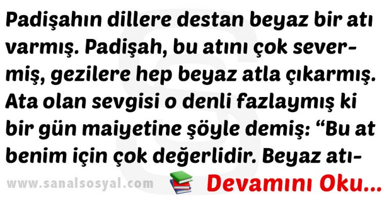 beyaz at