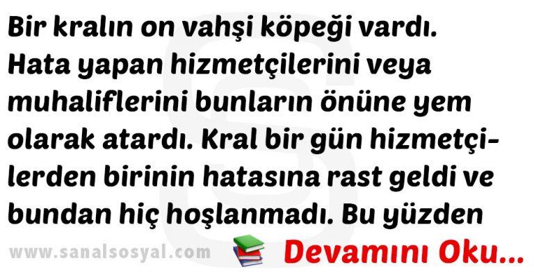 hizmet 1