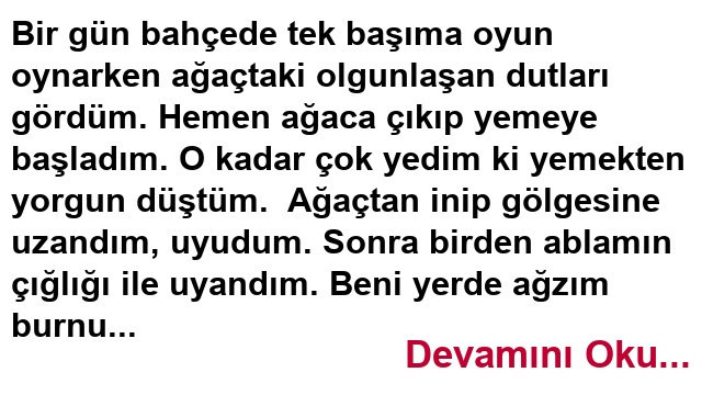 Her Yaranın Merhemi Kendi Dalındadır