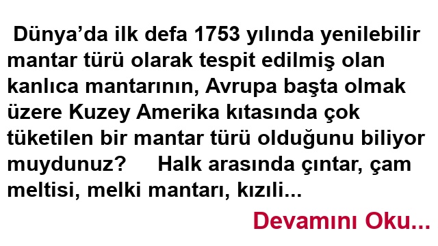 KANLICA MANTARI