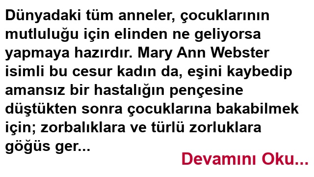 Mary Ann Webster