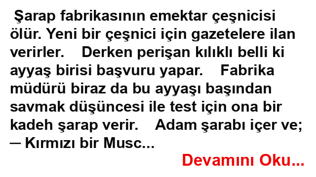 Şarap Fabrikasının Çeşnicisi