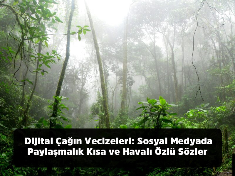 Lafı Gediğine Koyma Sanatı: Aklınızdan Çıkmayacak, Hayatınızı Değiştirecek En Kapsamlı Özlü Sözler Arşivi - Dijital Çağın Vecizeleri: Sosyal Medyada Paylaşmalık Kısa ve Havalı Özlü Sözler