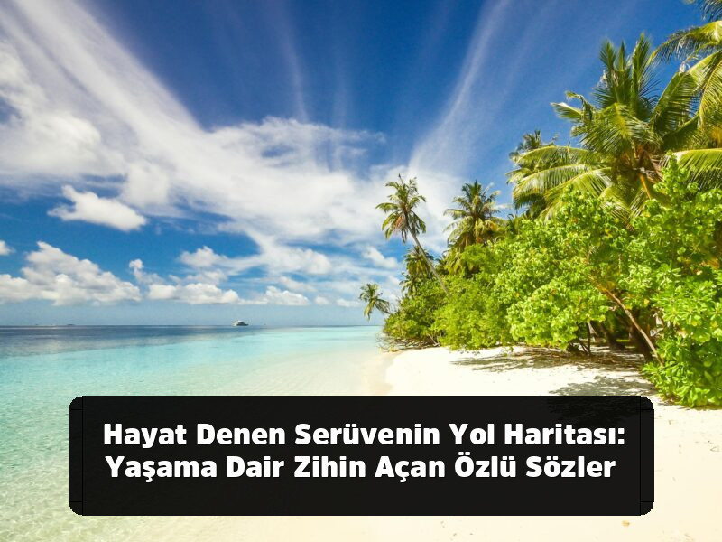 Lafı Gediğine Koyma Sanatı: Aklınızdan Çıkmayacak, Hayatınızı Değiştirecek En Kapsamlı Özlü Sözler Arşivi - Hayat Denen Serüvenin Yol Haritası: Yaşama Dair Zihin Açan Özlü Sözler