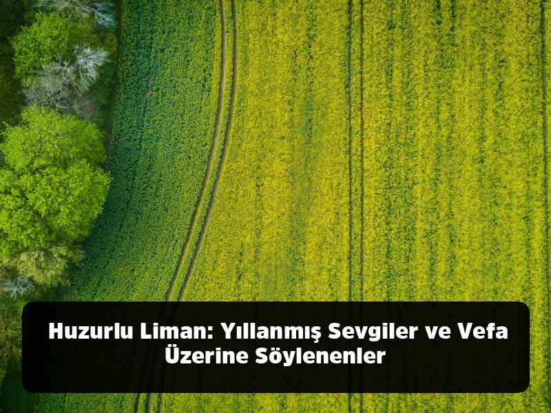 Lafı Gediğine Koyma Sanatı: Aklınızdan Çıkmayacak, Hayatınızı Değiştirecek En Kapsamlı Özlü Sözler Arşivi - Huzurlu Liman: Yıllanmış Sevgiler ve Vefa Üzerine Söylenenler