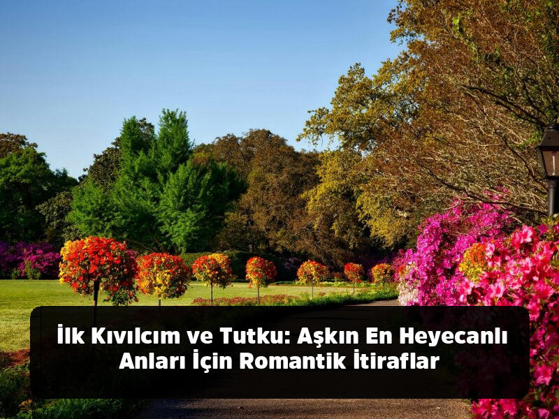 Lafı Gediğine Koyma Sanatı: Aklınızdan Çıkmayacak, Hayatınızı Değiştirecek En Kapsamlı Özlü Sözler Arşivi - İlk Kıvılcım ve Tutku: Aşkın En Heyecanlı Anları İçin Romantik İtiraflar