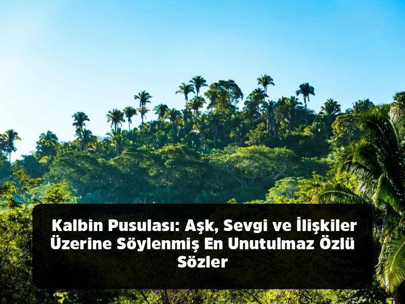 Lafı Gediğine Koyma Sanatı: Aklınızdan Çıkmayacak, Hayatınızı Değiştirecek En Kapsamlı Özlü Sözler Arşivi - Kalbin Pusulası: Aşk, Sevgi ve İlişkiler Üzerine Söylenmiş En Unutulmaz Özlü Sözler