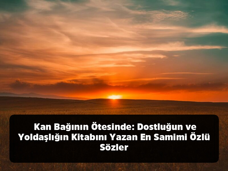 Lafı Gediğine Koyma Sanatı: Aklınızdan Çıkmayacak, Hayatınızı Değiştirecek En Kapsamlı Özlü Sözler Arşivi - Kan Bağının Ötesinde: Dostluğun ve Yoldaşlığın Kitabını Yazan En Samimi Özlü Sözler